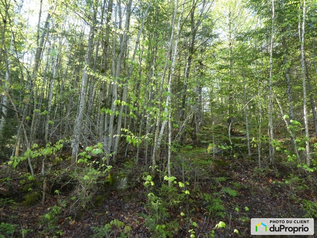 $319,000 - Price taxes not included - Residential Lot for sale — photo 3