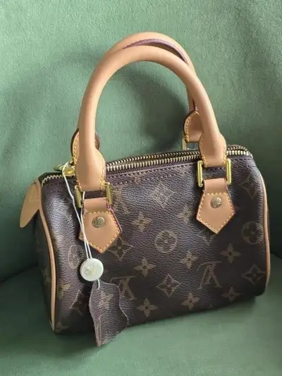 Small Speedy LV Monogram Handbag, View more