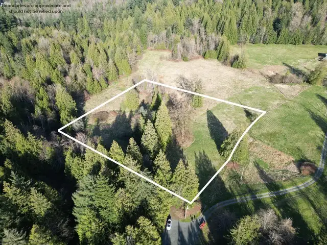 52300 ALLAN ROAD, Eastern Hillsides Chilliwack, British Columbia in Land for Sale in Chilliwack - Image 3