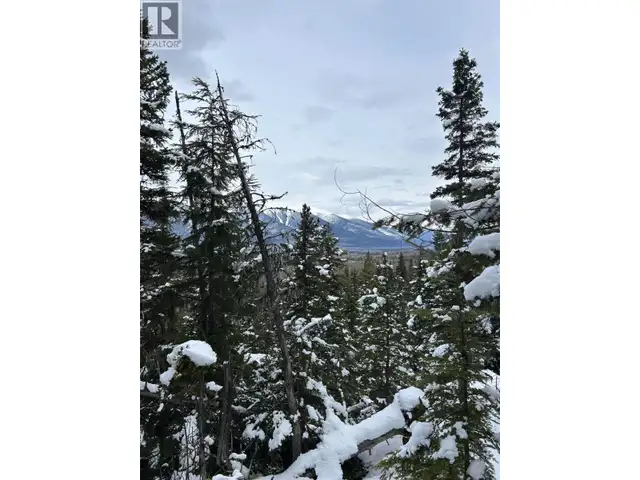 DL 7054 W 16 HIGHWAY McBride, British Columbia in Land for Sale in Quesnel - Image 10