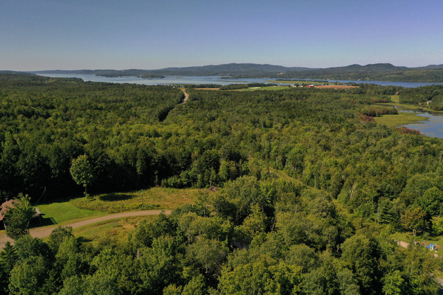 4.32 acres on the beautiful Kingston Peninsula in Land for Sale in Saint John - Image 4