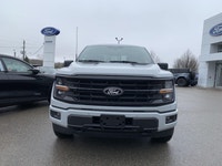 The 2026 Ford F-150 offers remarkable versatility and resiliency to support both demanding work and... (image 1)