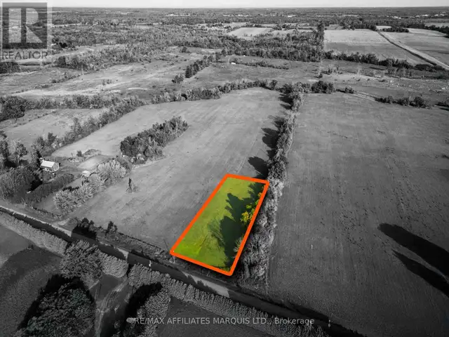 LOT BLACK RIVER ROAD South Stormont, Ontario in Land for Sale in Ottawa - Image 12