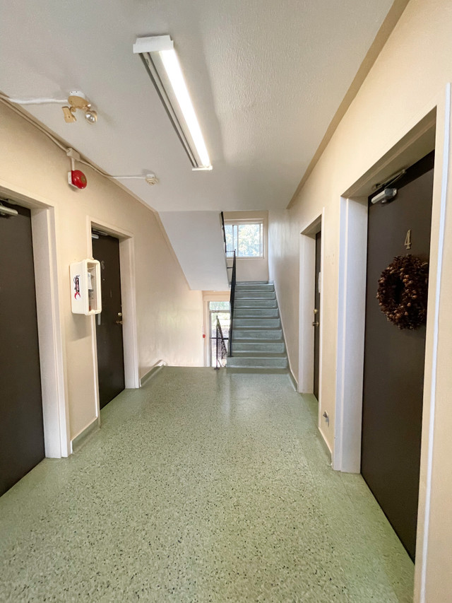 1 Bedroom Apartment SSM - Princess Heights Apts in Long Term Rentals in Sault Ste. Marie - Image 3