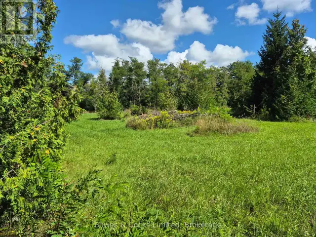 PT LOT 8 CON 7 Selwyn, Ontario in Land for Sale in Peterborough - Image 3