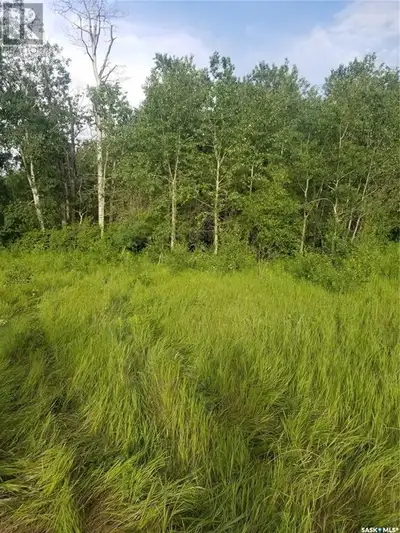 Don't miss this gorgeous, well treed, unserviced lot in the R.M. of Canwood, just a few miles away f...