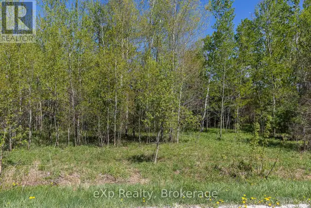 5716 COUNTY ROAD 9 Clearview, Ontario in Land for Sale in Oakville / Halton Region - Image 6