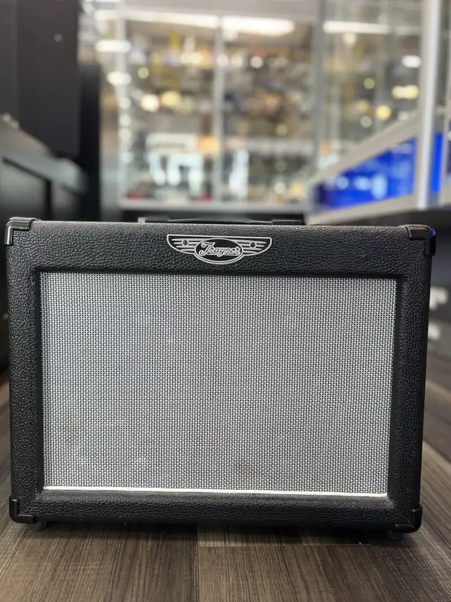 Traynor Dynagain 15 Guitar Amp in Amps & Pedals in City of Toronto - Image 2