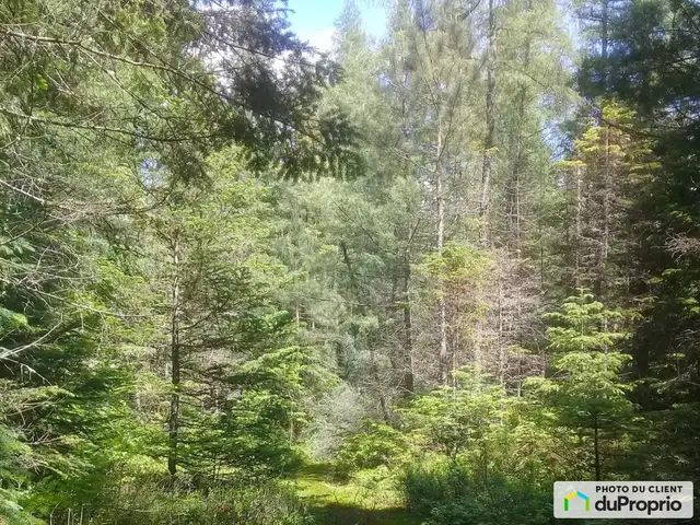 $59,000 - Price taxes not included - Residential Lot in Chertsey in Land for Sale in Laurentides - Image 7