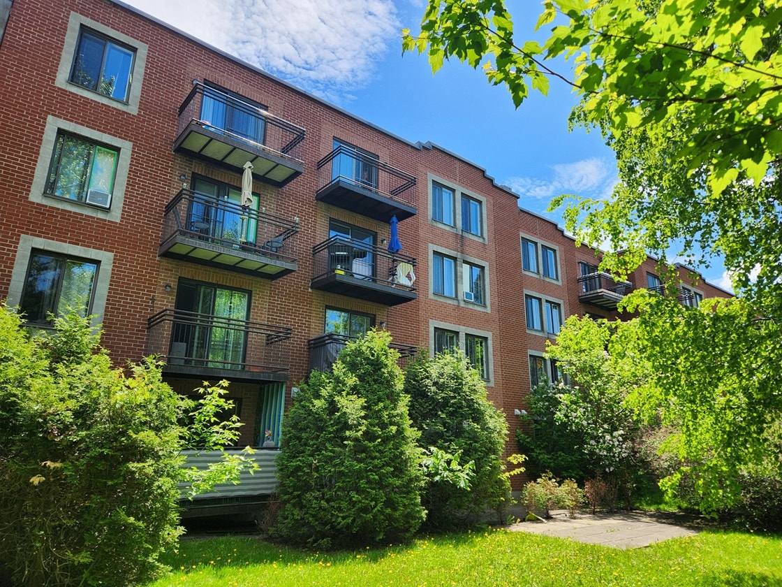 3535 Rue Rachel Est — photo 3