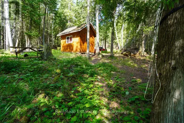 382 OLD DETLOR ROAD Bancroft (Dungannon Ward), Ontario in Land for Sale in Trenton - Image 29