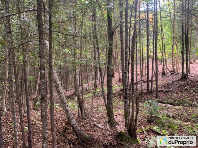 $49,900 - Starting at - Residential Lot in Lac-Aux-Sables — photo 3