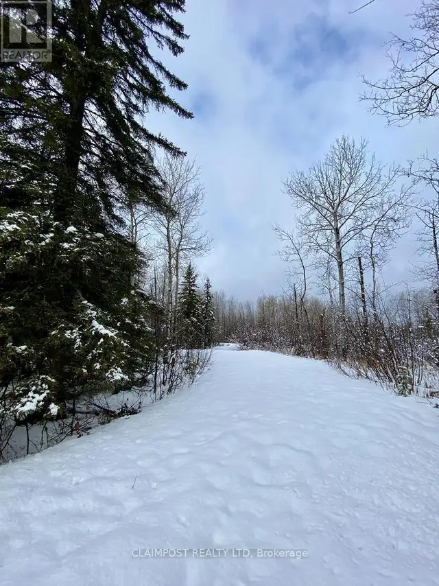 6524 HIGHWAY 11 HIGHWAY N Iroquois Falls, Ontario in Land for Sale in Timmins - Image 4