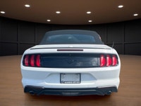 Price includes $1,000 finance credit. Price does not include fees or taxes. The 2020 Ford Mustang Ec... (image 5)