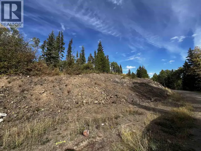 DL 2035 HIGHWAY 16 Fraser Lake, British Columbia in Land for Sale in Burns Lake - Image 16
