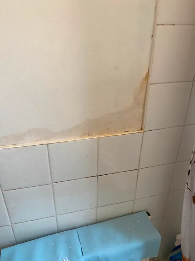Bathroom & Wall Repair – Mold, Peeling Paint, and Full Repaintin62863716038018124