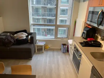 1-bedroom fully furnished modern apartment with a shared bathroom, only 1 other roommate, 1200 a mon...