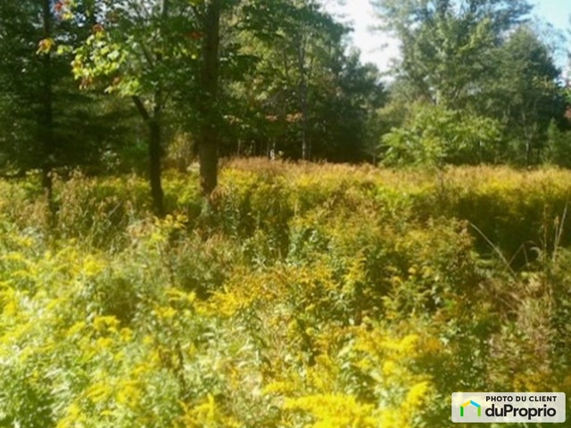 $185,500 - Price taxes not included - Residential Lot for sale — photo 3