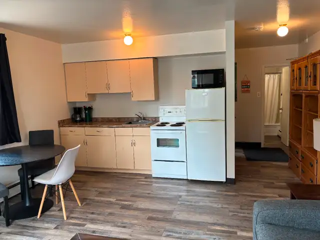 Fully furnished 1 bedroom and studio downtown apartment UofS63251763184385122