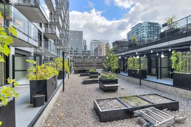 Appartement Studio Condo locatif-Griffintown-Sud-Ouest in Long Term Rentals in City of Montréal - Image 18
