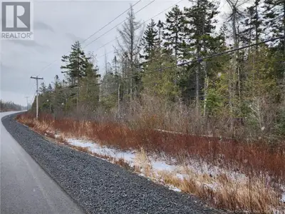 42 ACRES!! Frontage on a year round road with power along the front and with over 500 feet of fronta...