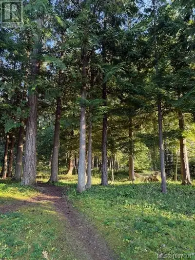 A rarity indeed! .47 acre building lot in the Village of Qualicum Beach. Accessible only from Arbutu...