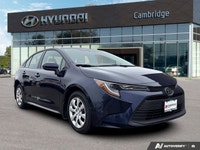 PREVIOUS DAILY RENTAL The *2024 Toyota Corolla LE* is the latest evolution of the world's best-selli... (image 6)
