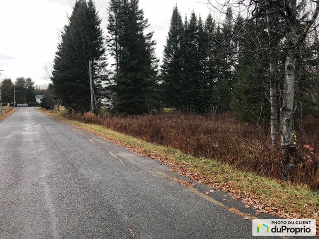 $39,900 - Residential Lot for sale in St-Damien — photo 1