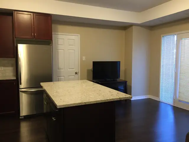 Professional Painting booking available in Painters & Painting in Peterborough - Image 11