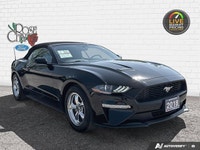Rose City Ford | Accident Free | Convertible | 10-Speed Transmission | Engine Block Heated | Back Up... (image 7)