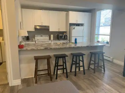 Modern 3-Bed, 1-Bath–Old North Avail. Sept 1-$725/room + Hydo