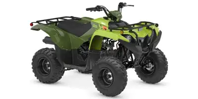 Engine Type: Single-Cylinder Displacement: 6.8 cu. in. (112 cc) Bore x Stroke: Bore: 2.06 in. (52.4...