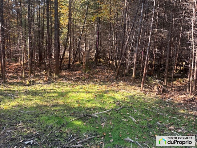 $89,000 - Price taxes not included - Residential Lot for sale — photo 3