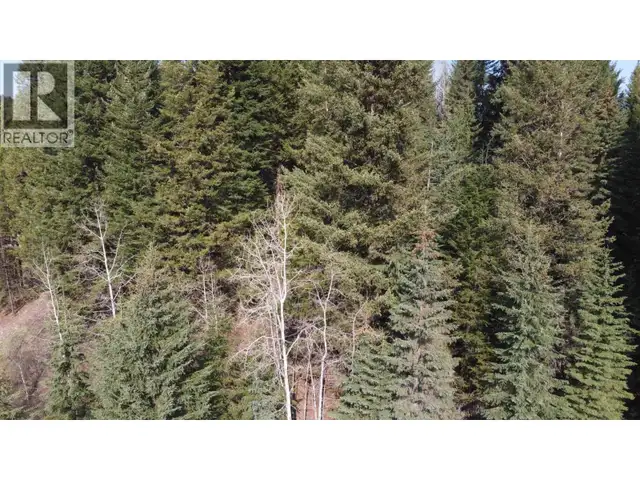LOT B BRYCE ROAD Forest Grove, British Columbia in Land for Sale in 100 Mile House - Image 20