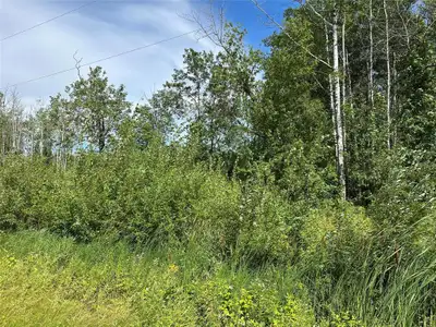 R26//Gimli Rm/Large building lot about 15 minutes north of Gimli in the Glen Bay area. fully treed a...
