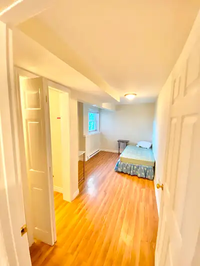 Room For Rent (On The Hill Uptown) Dog & Cat Friendly - Sept 1st