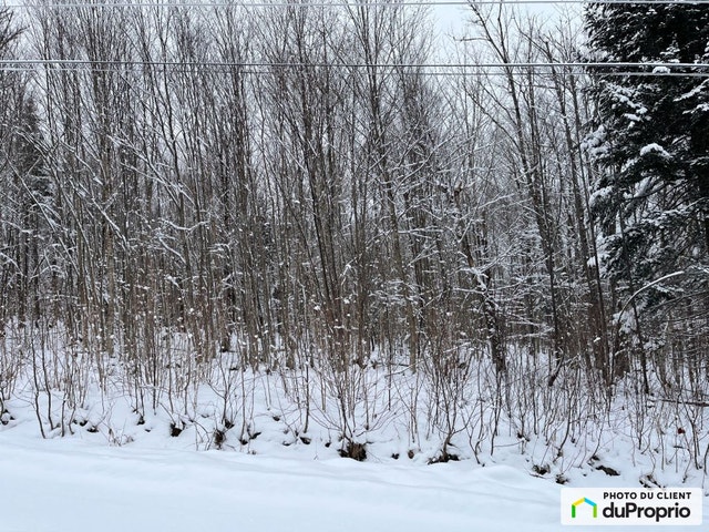 $52,900 - Residential Lot for sale in Notre-Dame-Des-Bois — photo 1