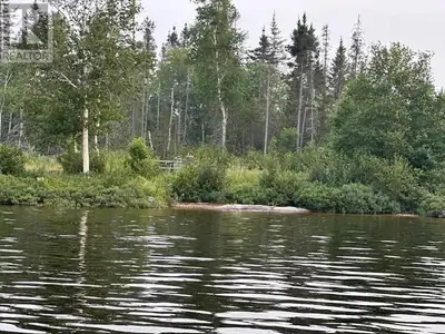 Waterfront Treed Lot- Nature Lover's Paradise! Escape to your own private bay in this beautiful wate...