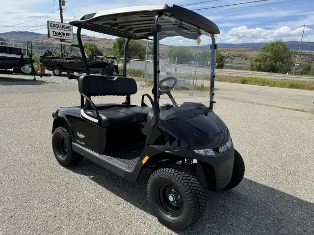 2025 EZGO Valor EX1 -Best Golf Cart,by Textron in ATVs in Vernon - Image 4