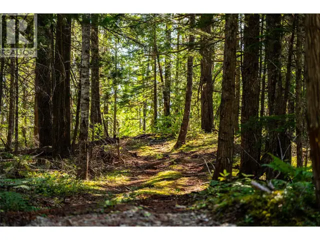 1750 Highway 23 South Highway S Revelstoke, British Columbia in Houses for Sale in Revelstoke - Image 16