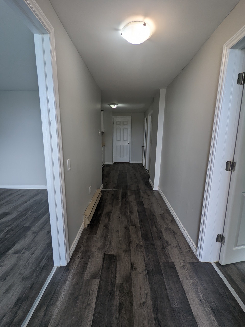 73 Mecklenburg #5 - 2BR Uptown, H/L included 4