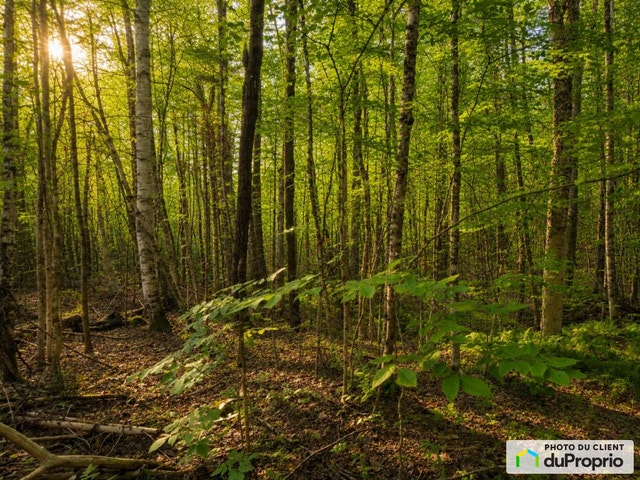 $209,500 - Residential Lot for sale in Magog — photo 3