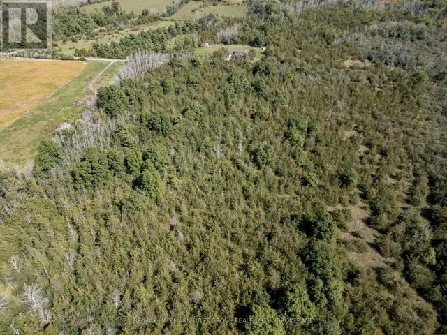 00 PALACE ROAD Greater Napanee (Greater Napanee), Ontario in Land for Sale in Napanee - Image 35
