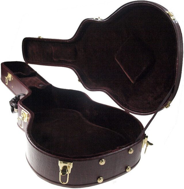 Guitar Cases for sale from Solo Guitars in Other in Markham / York Region - Image 4