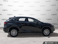 This Lexus NX has a powerful Intercooled Turbo Premium Unleaded I-4 2.0 L/122 engine powering this A... (image 6)