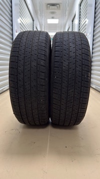 2025 year. 225/55 R19 All-season Tires Bridgestone Ecopia Mississauga / Peel Region Toronto (GTA) Preview