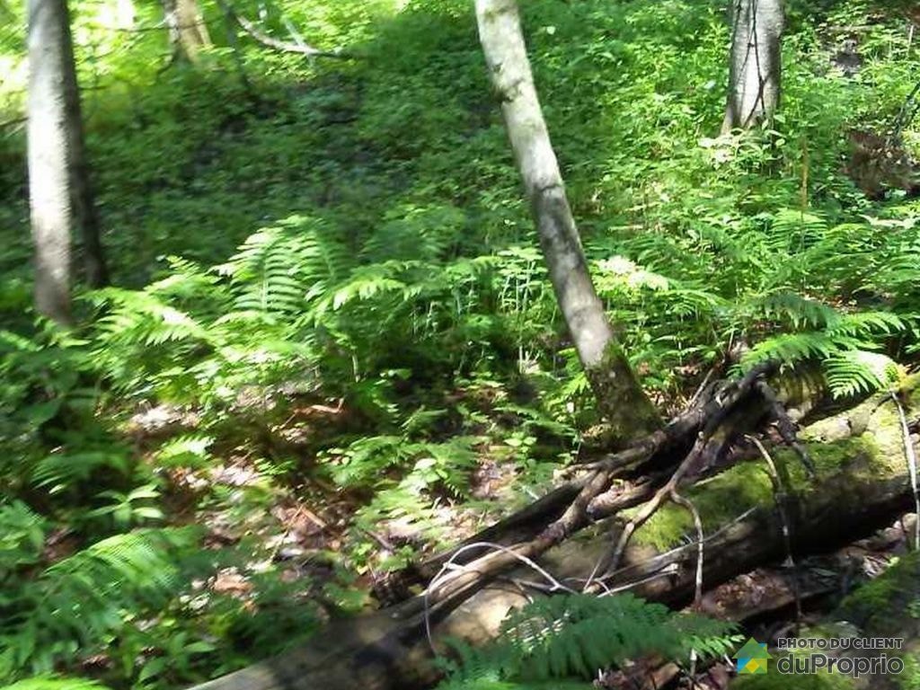 $114,000 - Residential Lot for sale in Ste-Agathe-Des-Monts — photo 3