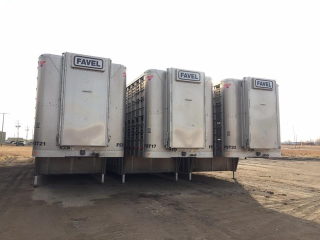 Livestock Haulers in Drivers & Security in Lethbridge - Image 2