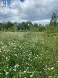 00 JEAN AVENUE Laurentian Valley, Ontario Pembroke Renfrew County Area Preview