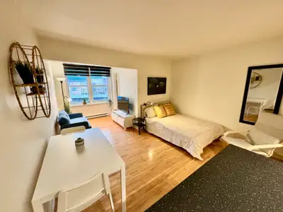 Superbe studio Loft meublé, WIFI, Libre maintenant